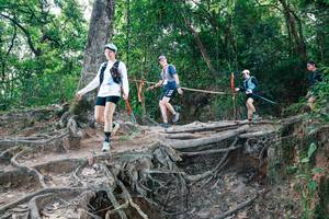 BIB: 
                            <button type="button" onclick="openModal(27721277)" class="btn btn-primary btn-sm float-right btn-popup" data-toggle="modal" data-target=".modal-high-quality">
                        <i class="fas fa-shopping-cart"></i> Add to Cart
                    </button>
                                            <button type="button" onclick="isThisMe(27721277, true)" class="btn btn-success btn-sm float-right btn-popup btn-isme hidden" data-toggle="tooltip" data-placement="bottom" title="นี่คือรูปของคุณใช่ไหม คลิกที่นี่เพื่อเอาเข้าอัลบั้ม">
                        <i class="fas fa-plus"></i> Add to album
                    </button>
                    <button type="button" onclick="isThisMe(27721277, false)" class="btn btn-warning btn-sm float-right btn-popup btn-isnotme hidden">
                        <i class="fas fa-ban"></i> Remove from album
                    </button>